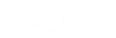 wizehire logo